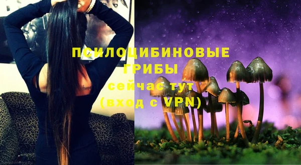 шишки Алексеевка