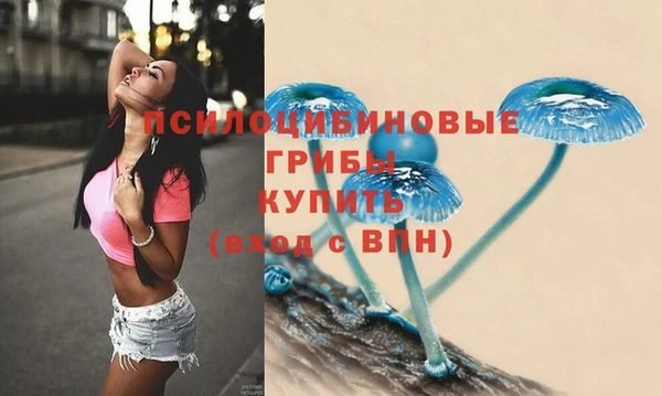 прущие грибы Кемь