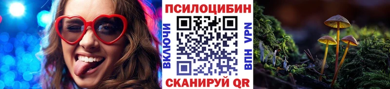 Галлюциногенные грибы MAGIC MUSHROOMS  площадка телеграм  Кизилюрт 